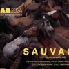 Sauvage