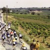 1953 - Dans la roue des champions 1/2 - Critérium