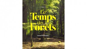 Le temps des forêts