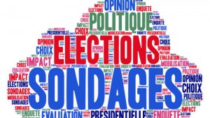 Utilité et effets des sondages électoraux