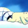 L'histoire de Bébert l'ours polaire