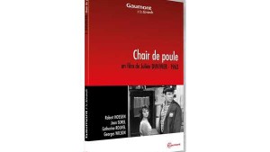 Chair de poule